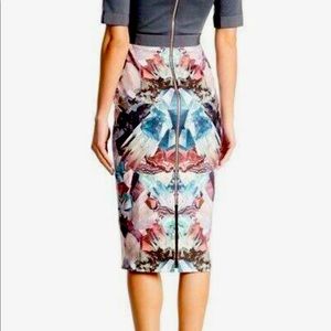 Ted Baker Anaste Minerals Dress (size 4 TB / 12 US)